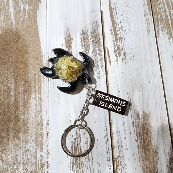 St. Simon's Island GA nautical 3D Sea turtle seashell and coconut keychain - Picture 1 of 6